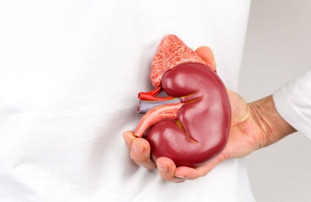 how to avoid chronic kidney disease