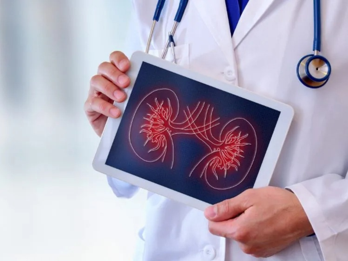 how to maintain healthy kidneys