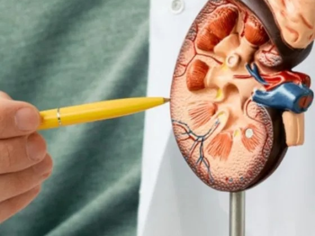 how to prevent chronic kidney disease
