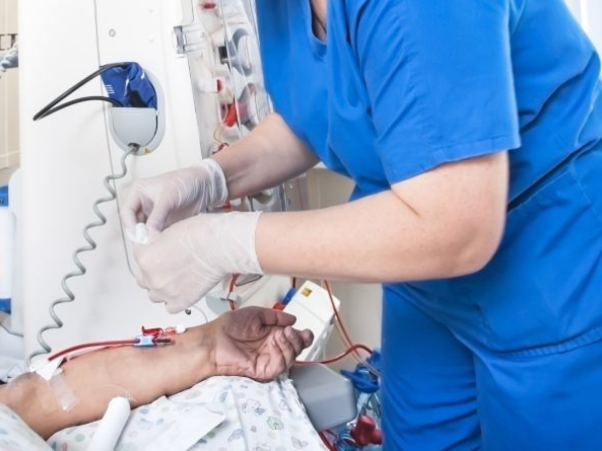 how to maintain healthy kidneys